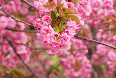 南京高淳线下个人借款平台一站式服务，轻松解决资金难题