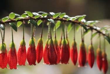 南京高淳零用贷短借：轻松解决临时资金需求